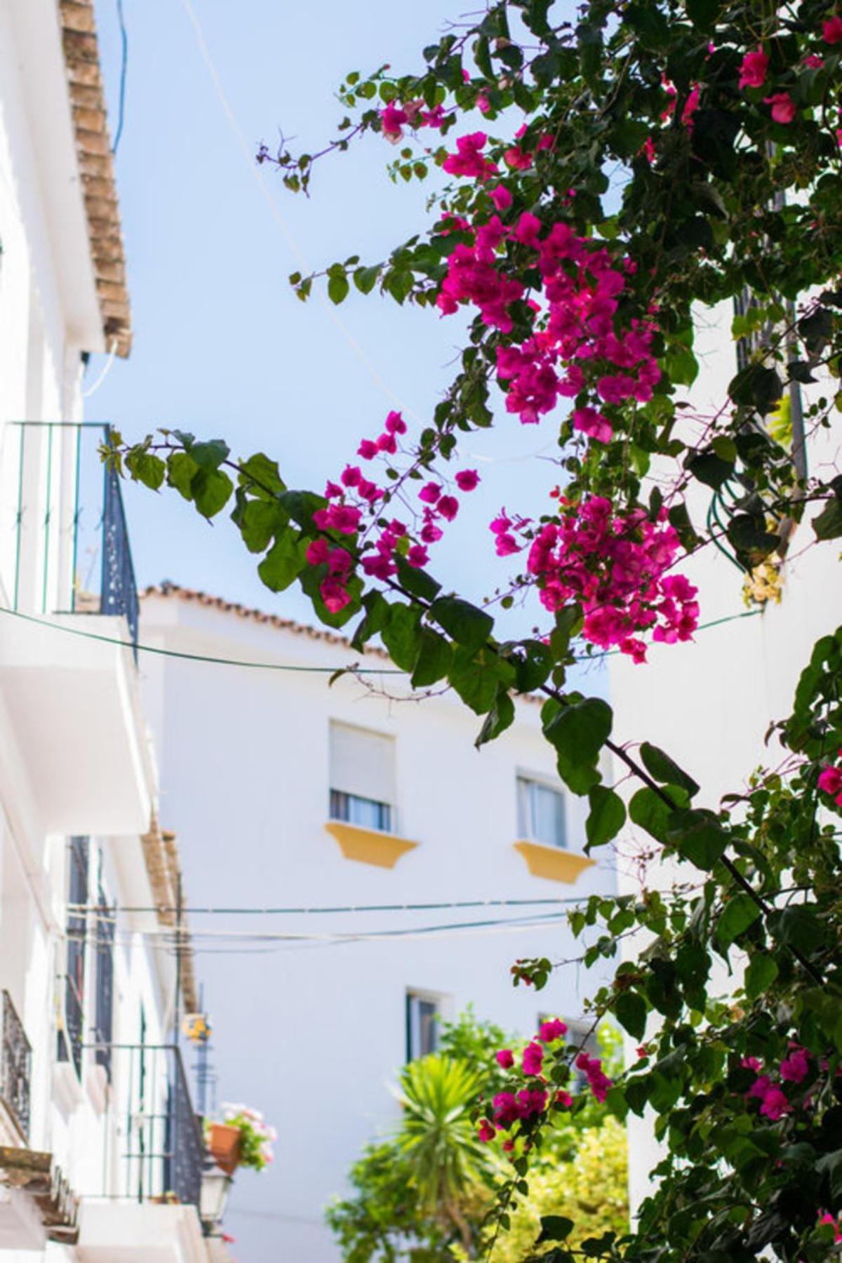 Superior 3Br Golfla Apartment Minutes From Puerto Banus & Marbella Malaga Exterior photo